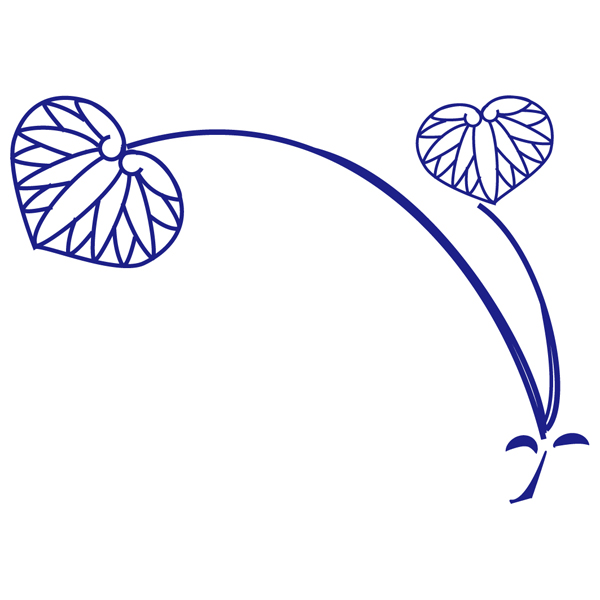 和歌山の音楽家・若い才能による南葵音楽文庫ミニコンサート 『徳川頼貞 音楽への旅立ち』開催