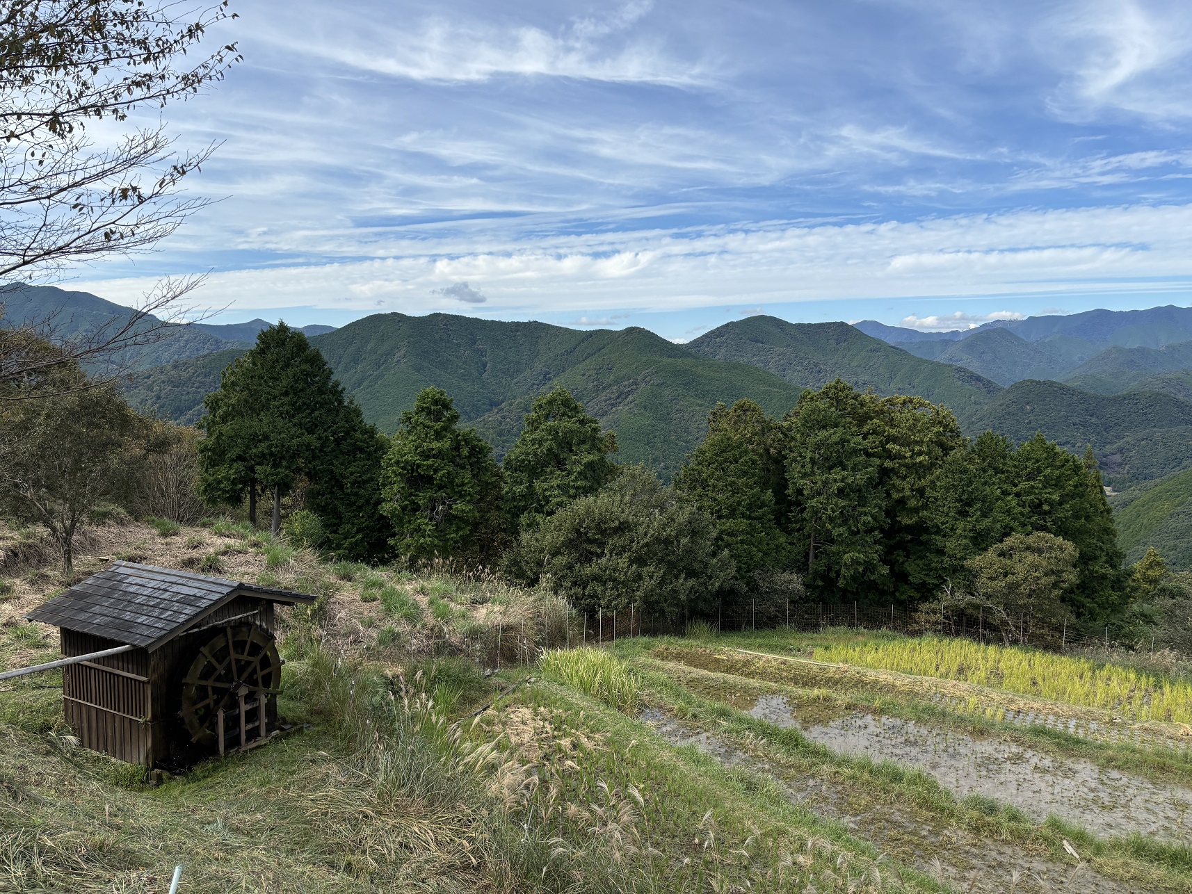 【わかやまぶらぶら】心のふるさと、中辺路高原地域へ/田辺市中辺路町
