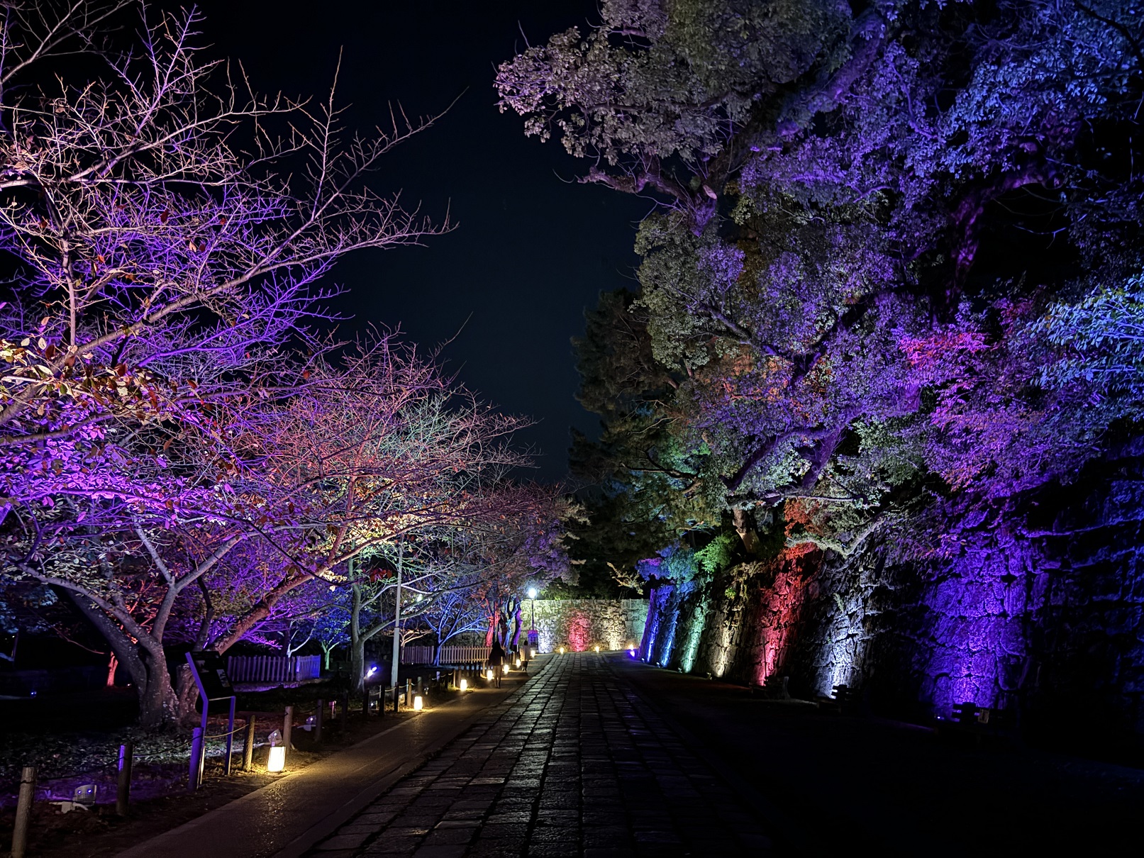【わかやまぶらぶら】「和歌山城～光の回廊～」がスタート！