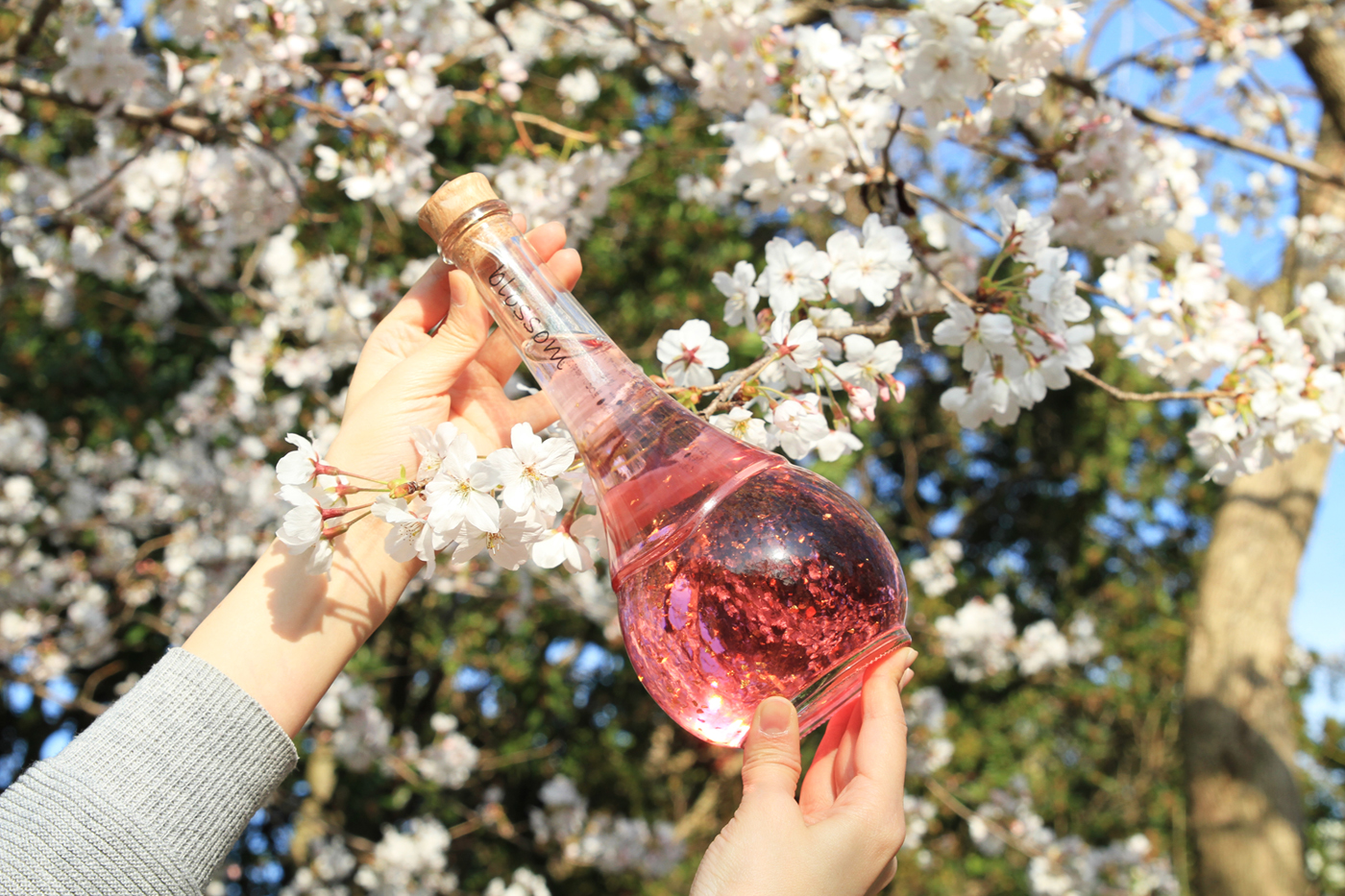 中野BCの梅酒『blossom~さくら梅酒~』が、桜モチーフのパッケージにリニューアル!