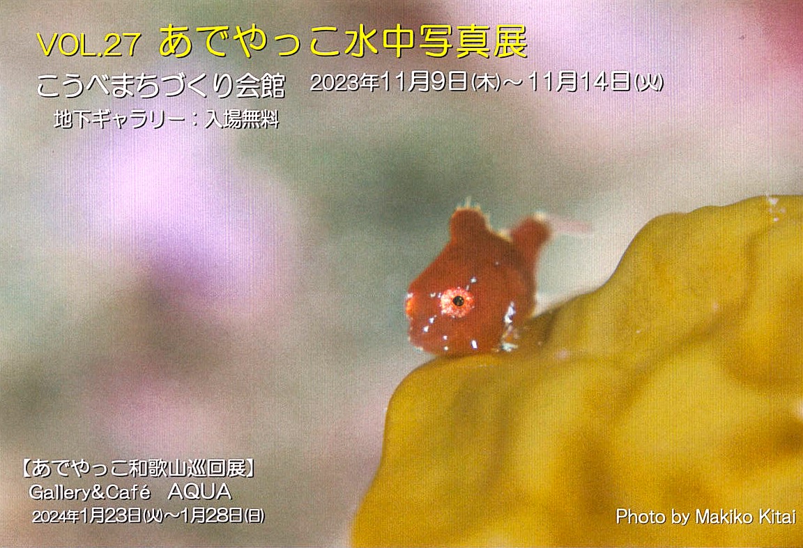 「あでやっこ和歌山巡回展」開催