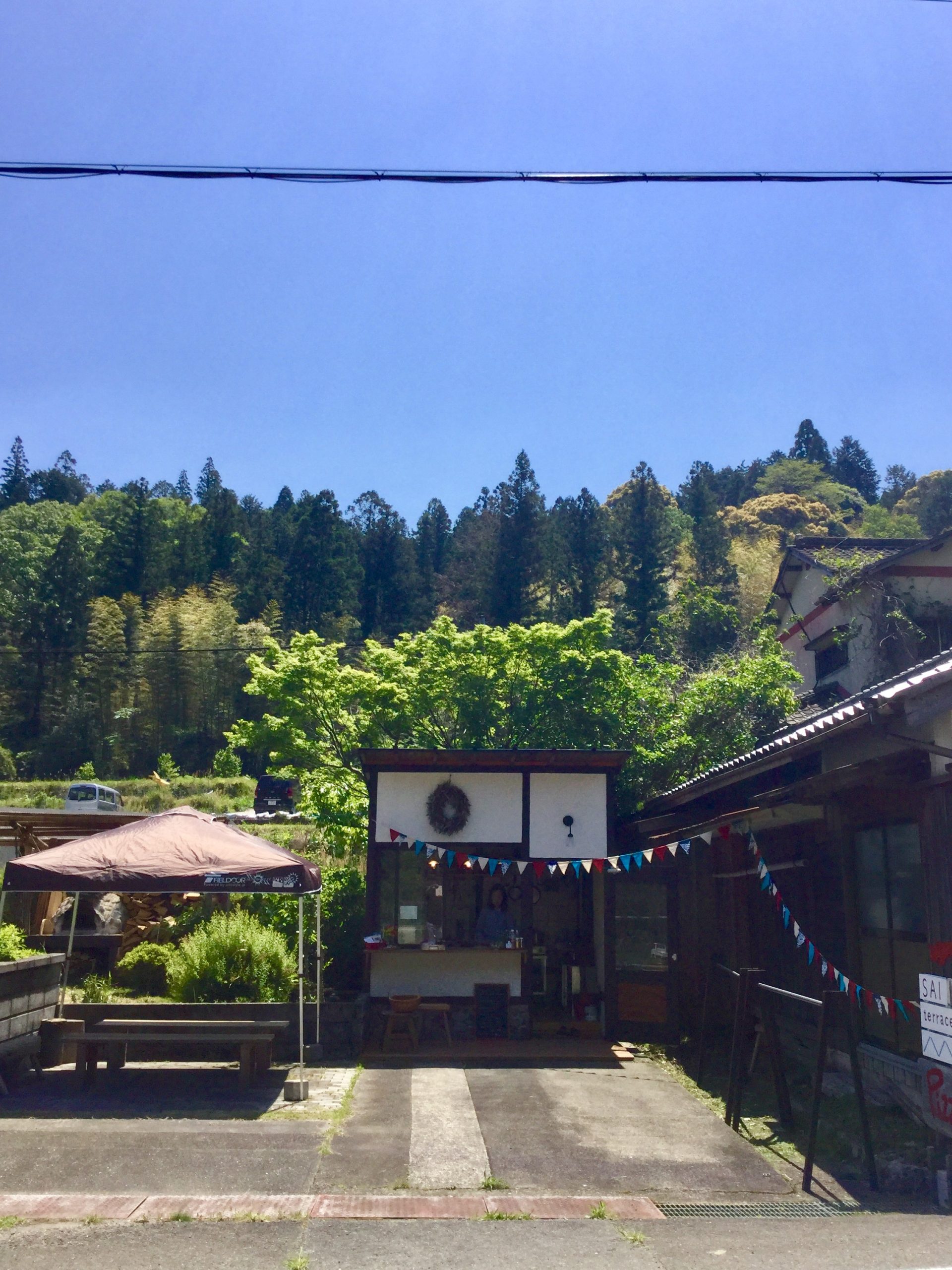 日高川町『サイテラス』西村眞喜子さんコラム