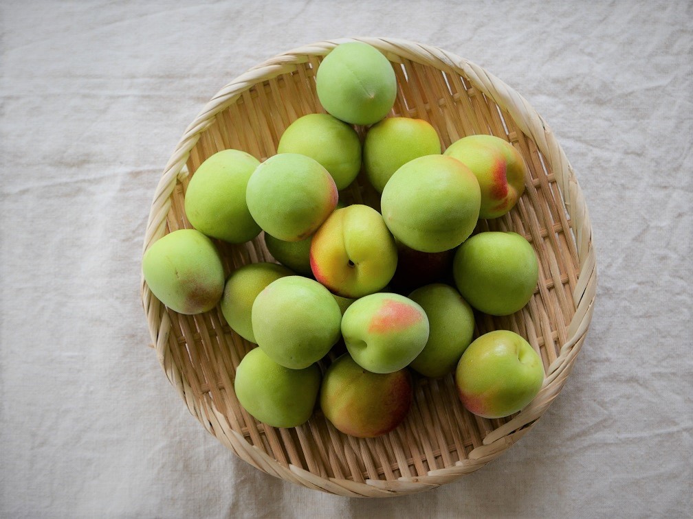 中野BC株式会社で梅酒の初仕込みを実施