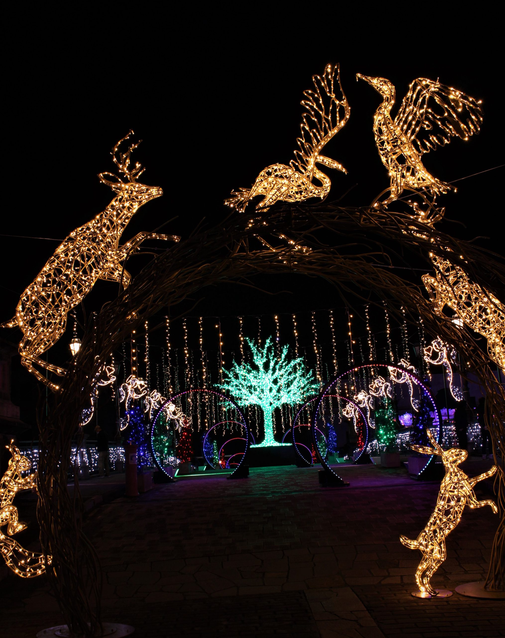 フェスタ・ルーチェ in 和歌山マリーナシティ 2021年もスタート！