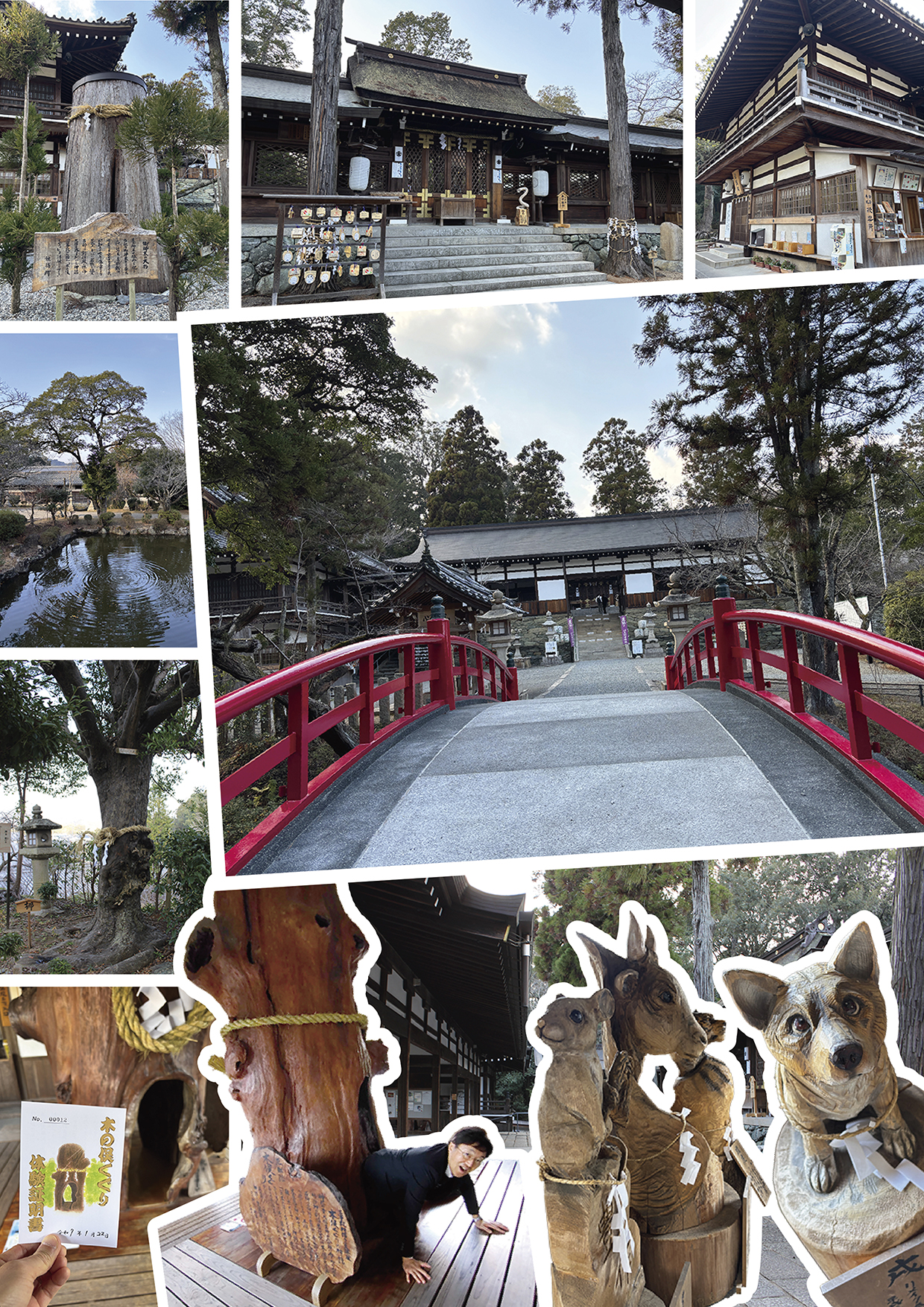 【わかやまぶらぶら】災難除けを祈願する「木の俣くぐり」にチャレンジ！／和歌山市・伊太祁曽神社