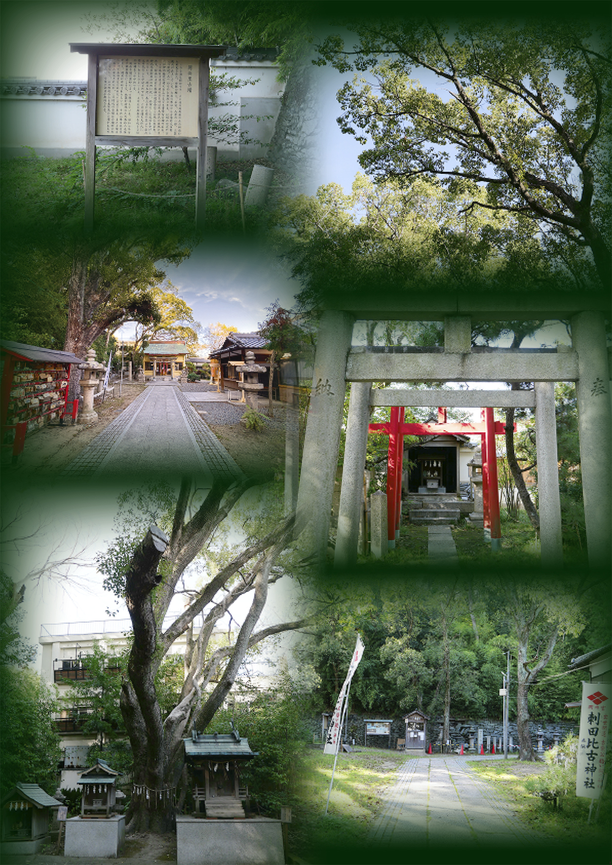 【わかやまぶらぶら】吉宗公の「拾い親」伝説が残る『刺田比古神社』