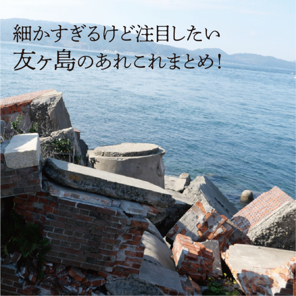 【その1】細かすぎるけど注目したい友ヶ島のあれこれをサキドリ!