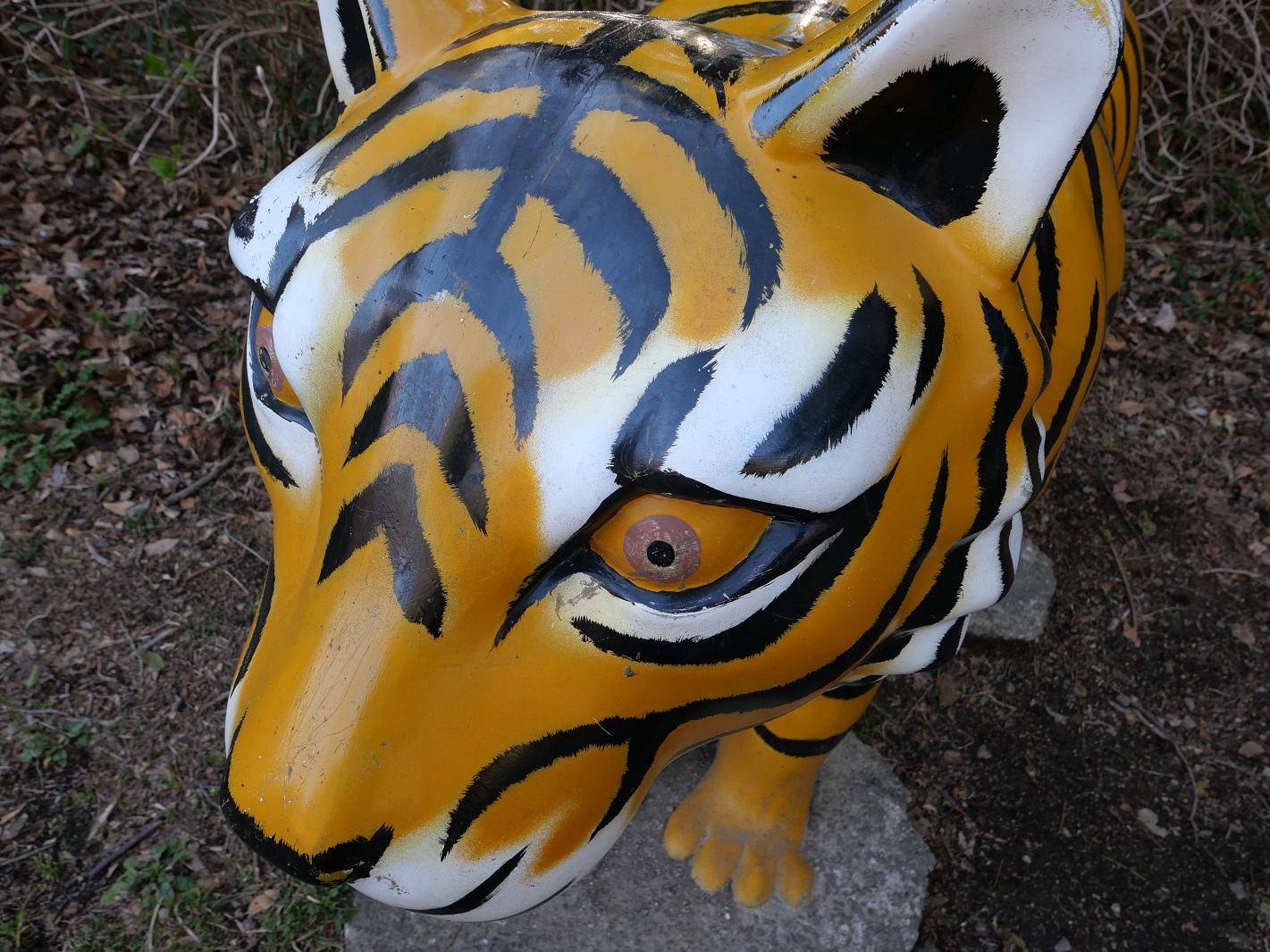 一年の縁起を担いで「虎」に会えるスポットをご紹介♪